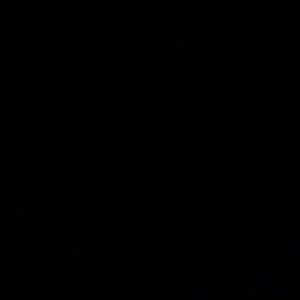 Meet your Posher, Travis